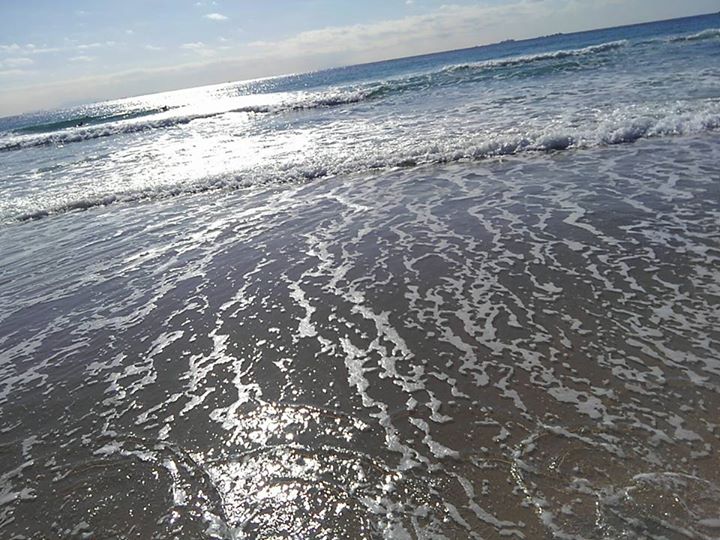 3a3e2c6905c00e52d225